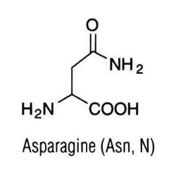 L-Аспарагин безводный