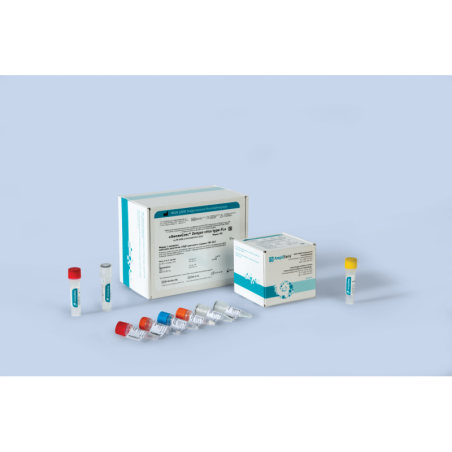 Набор реагентов АмплиСенс® Dengue virus type-FL (R-V63(RG,CFX) 50F