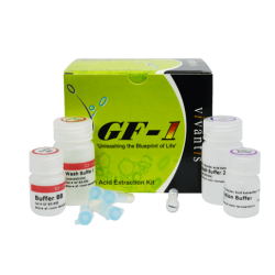 GF-1 Набор для выделений ДНК крови (Протеиназа К в комплекте)