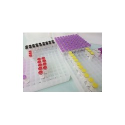 100bp-3000bp RAINBOW ДНК маркер