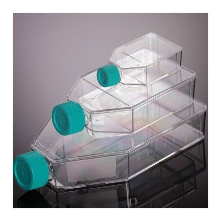 Матрацы 50мл, наклонное горлышко, вентилируемая зеленая крышка, стерильные(уп-10шт)