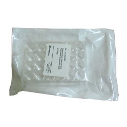 Планшет 24 лунки с крышкой