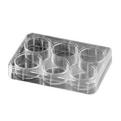 Планшет 6 лунок с крышкой