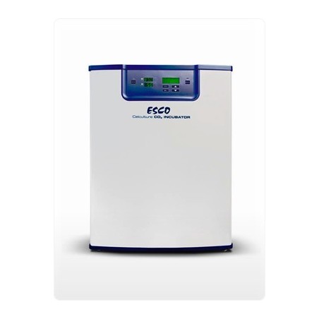 Инкубатор СО2 CCL-170B-8 с вн.разделительной дверью