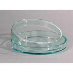Чашка Петри   стеклянная
