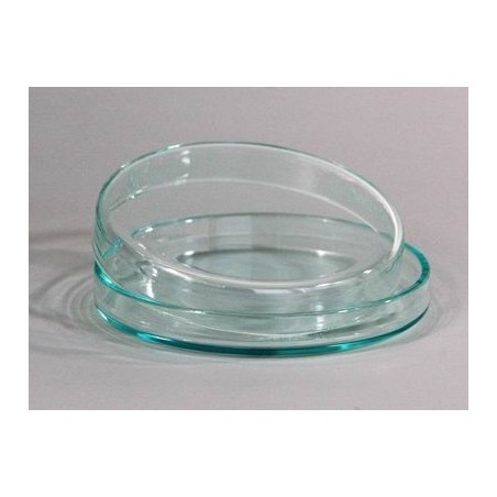 Чашка Петри   стеклянная