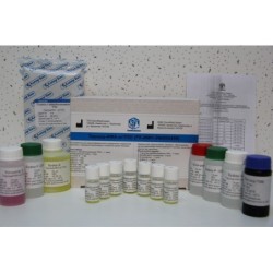 Тироид-ИФА-атТПО