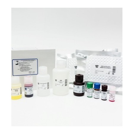 ИФА-Анти HCV (образец)
