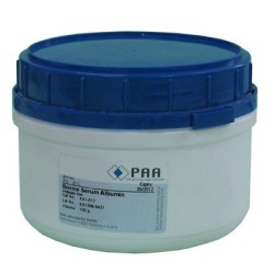 Бычий сывороточный альбумин