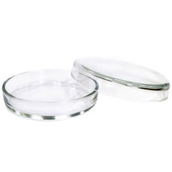 Чашка Петри 100x20 мм, стеклянная