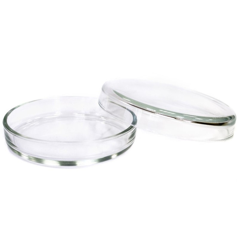 Чашка Петри 100x20 мм, стеклянная