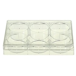 Планшет 6 лунок, плоское дно, с крышкой (стерильный)