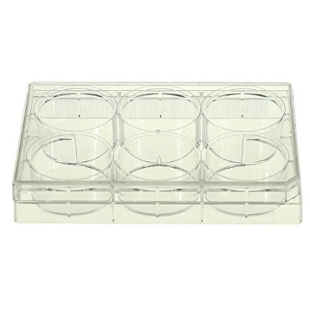 Планшет 6 лунок, плоское дно, с крышкой (стерильный)