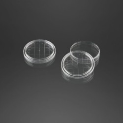 Чашка Петри 55мм cо счетной сеткой тройная вентиляция (стерильная) (уп-10шт)