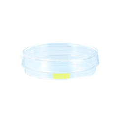 Чашка Петри 60мм (уп-20шт)