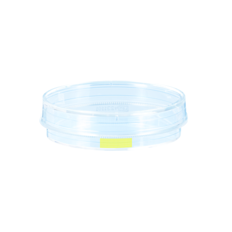 Чашка Петри 60мм (уп-20шт)