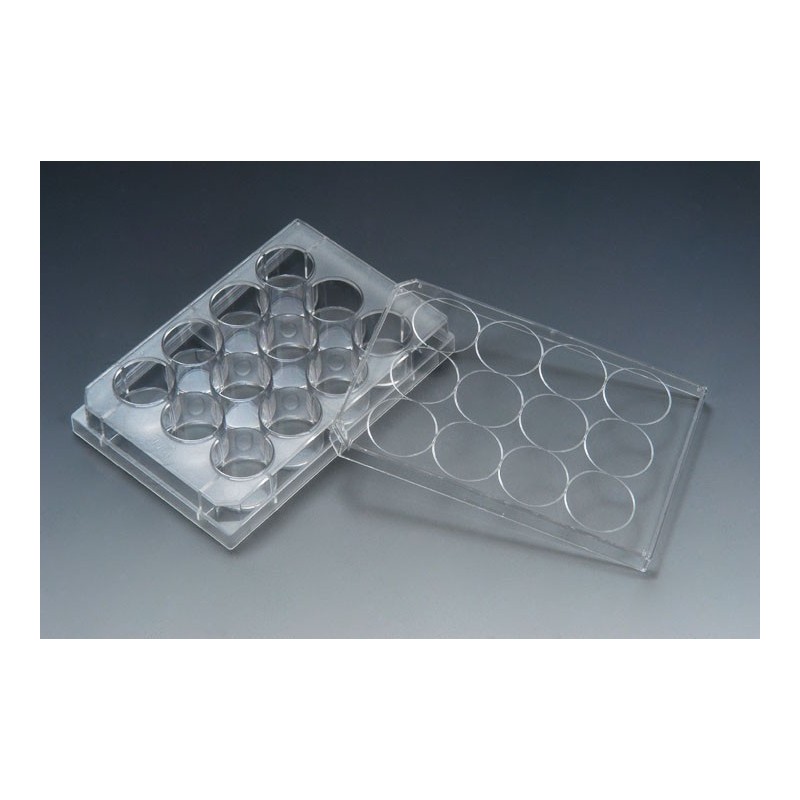 Планшет 12 лунок в инд.уп.