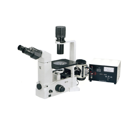 Микроскоп ТС5600L