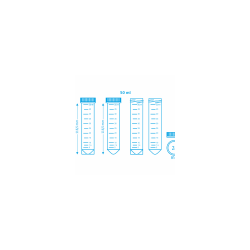Array