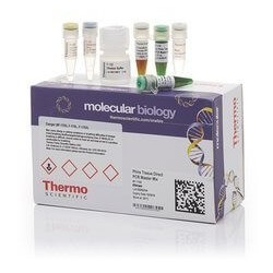 Смесь для проведения ПЦР Master (2x)