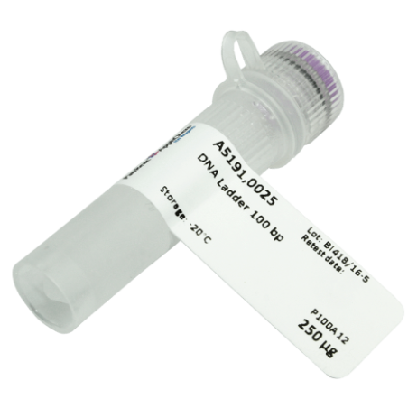 ДНК маркер 100 bp, 250 мкг