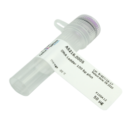 ДНК маркер 100 bp