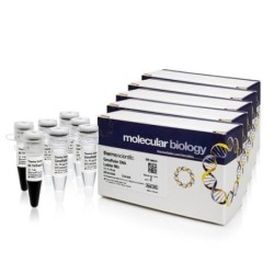 GeneRuler + ДНК маркер