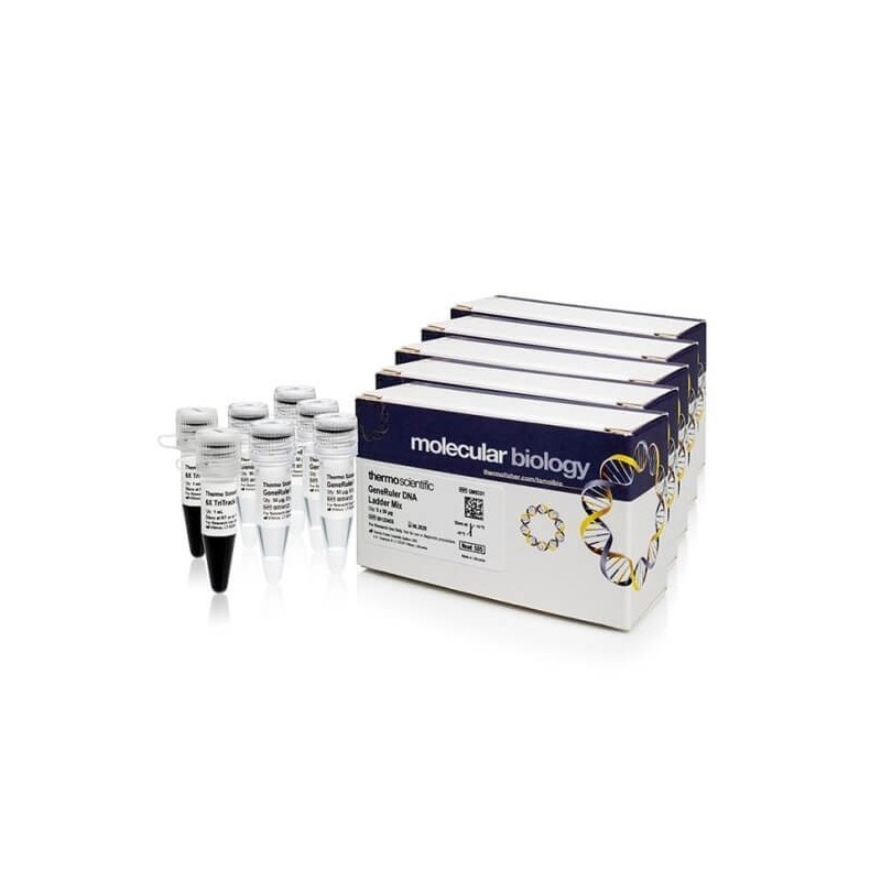 GeneRuler + ДНК маркер