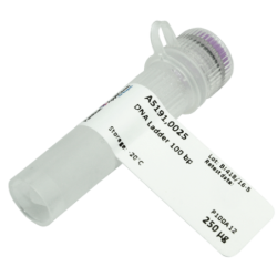 ДНК маркер 1kb, 50мкг лиофилизированный