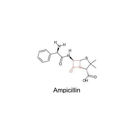 Ампициллина натриевая соль, 25г