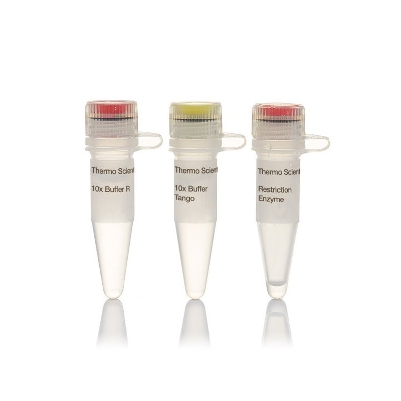 Эндонуклеаза рестрикции Bsh 12361