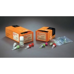 Access RT-PCR Introductory System, 20 реакций