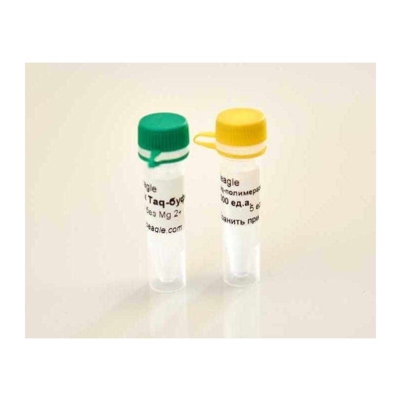 Hot Start Taq ДНК полимераза