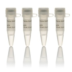 Набор dNTP, 100 мM растворы