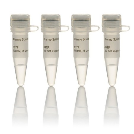 Набор dNTP, 100 мM растворы