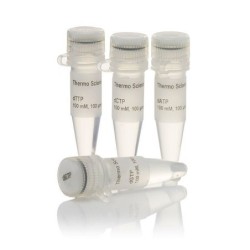 Набор dNTP, 100 мM растворы