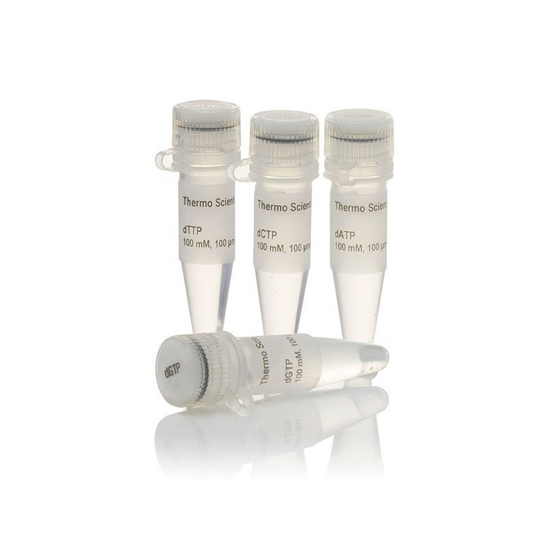 Набор dNTP, 100 мM растворы
