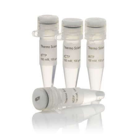 Набор dNTP, 100 мM растворы