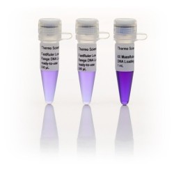 FastRuler(TM) ДНК-маркер, 50-1500 п.н., в растворе для нанесения на гель