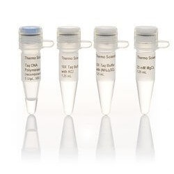 10х Taq буфер с (NH4)2SO4