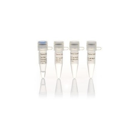 10х Taq буфер с (NH4)2SO4