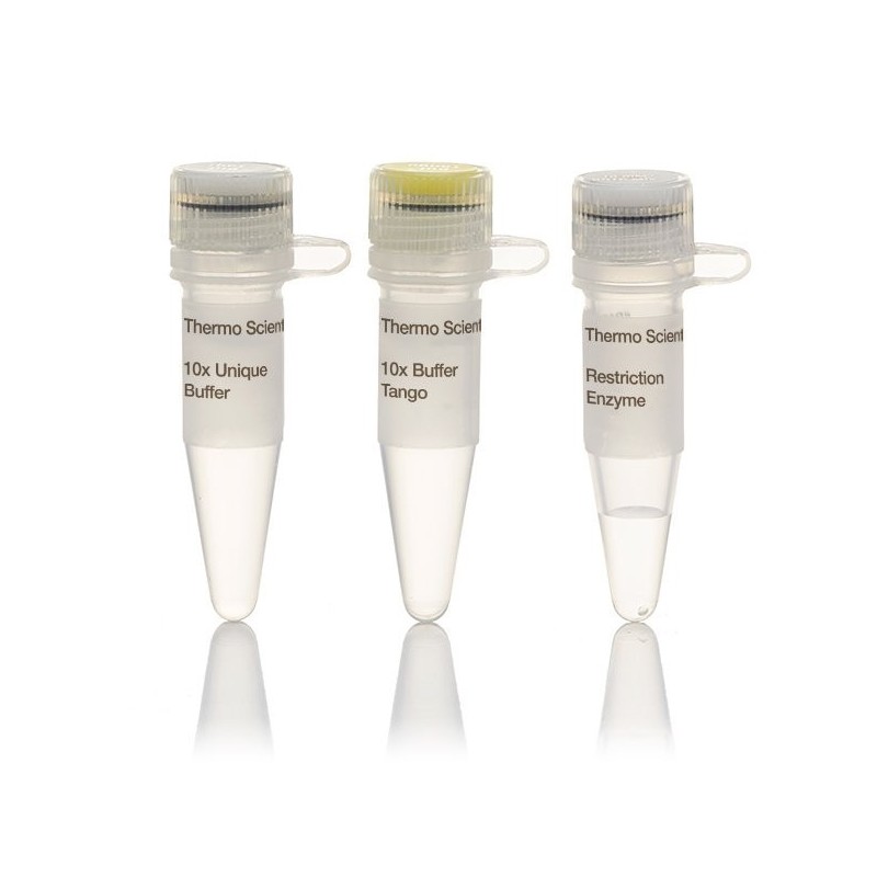 Эндонуклеаза рестрикции  Sdal