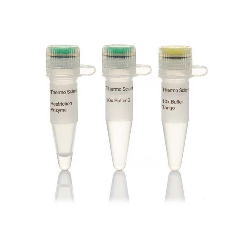 Эндонуклеаза рестрикции SspI