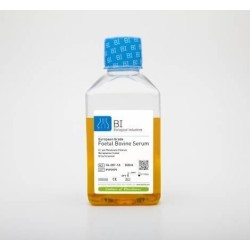 Эмбриональная бычья сыворотка