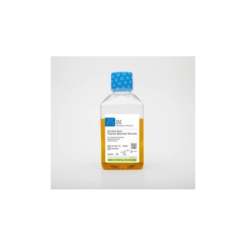 Эмбриональная бычья сыворотка