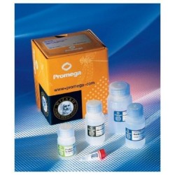 Wizard@ Genomic DNA Purification Kit 500 isolations x 300ml  А1125