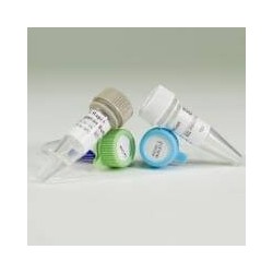 pGEM@-T Vector System 1.20  реакций А3600