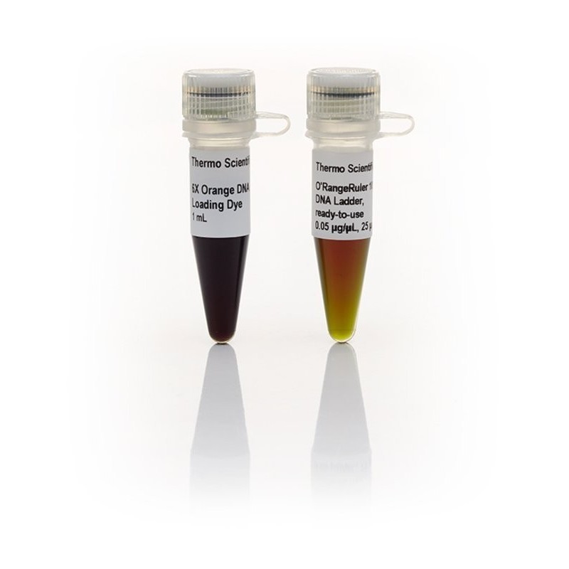 PaqeRuler  tm + ДНК-маркер