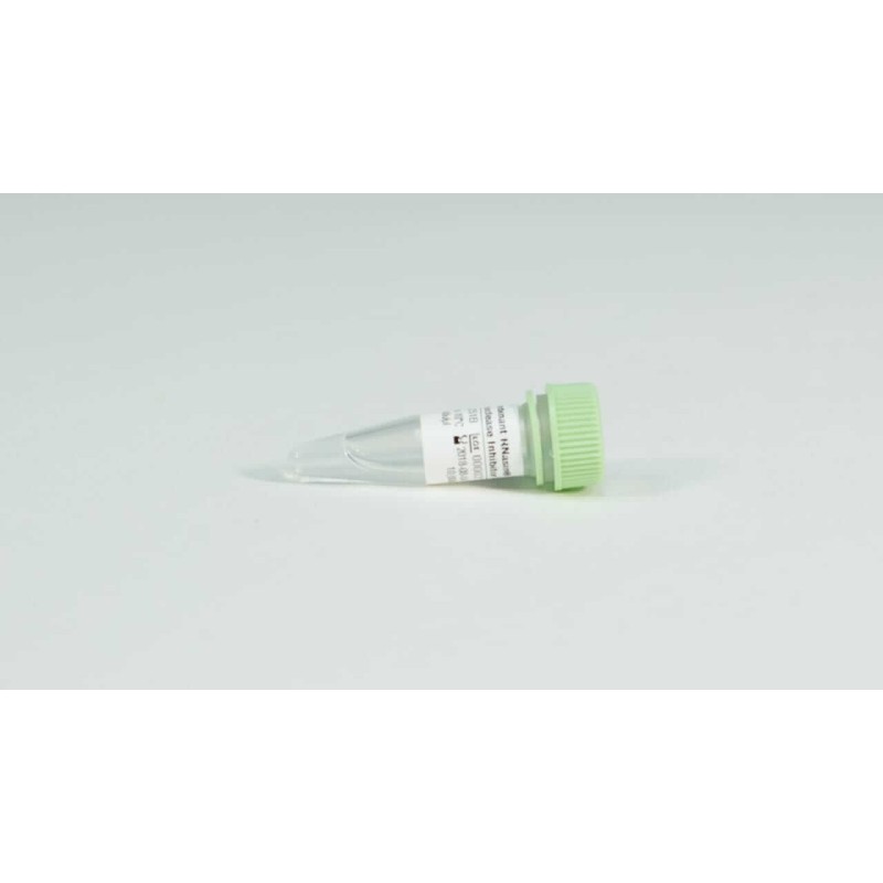 Ингибитор рибонуклеазы рекомбинантный RNasin (OR), 2,500u