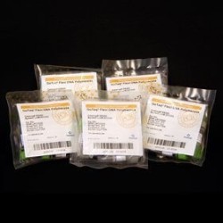 GoTaq (OR) PCR Core System I, 200 реакций